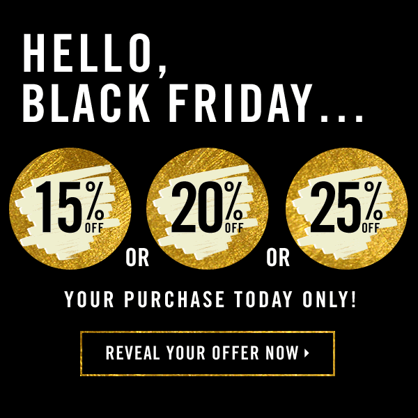 Forever 21 Black Friday sale email using a gif