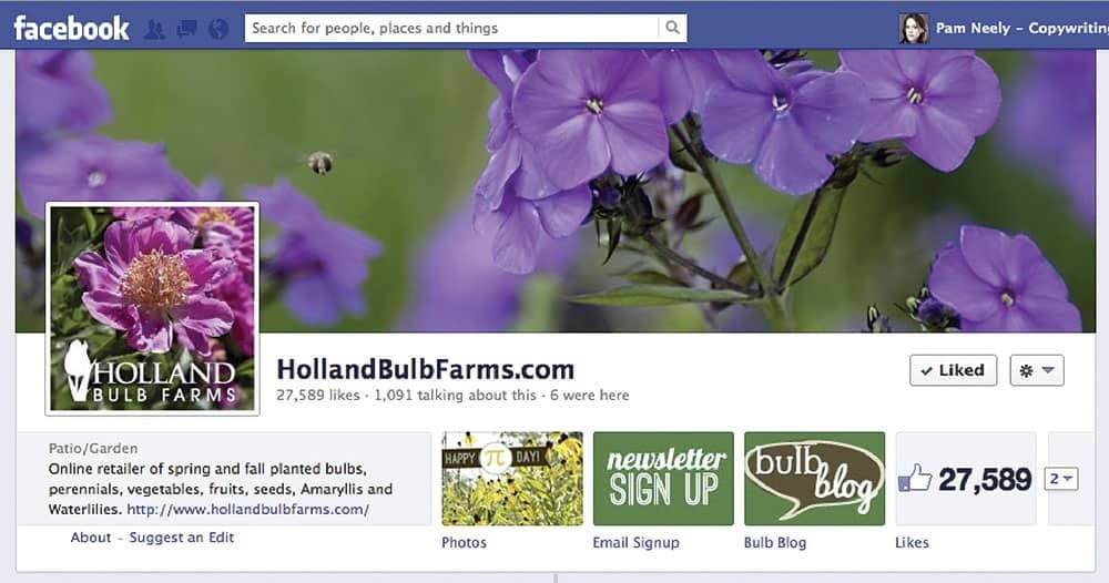 Screenshot of Holland Bulb Farm's Facebook page which features a call to action in their biography.