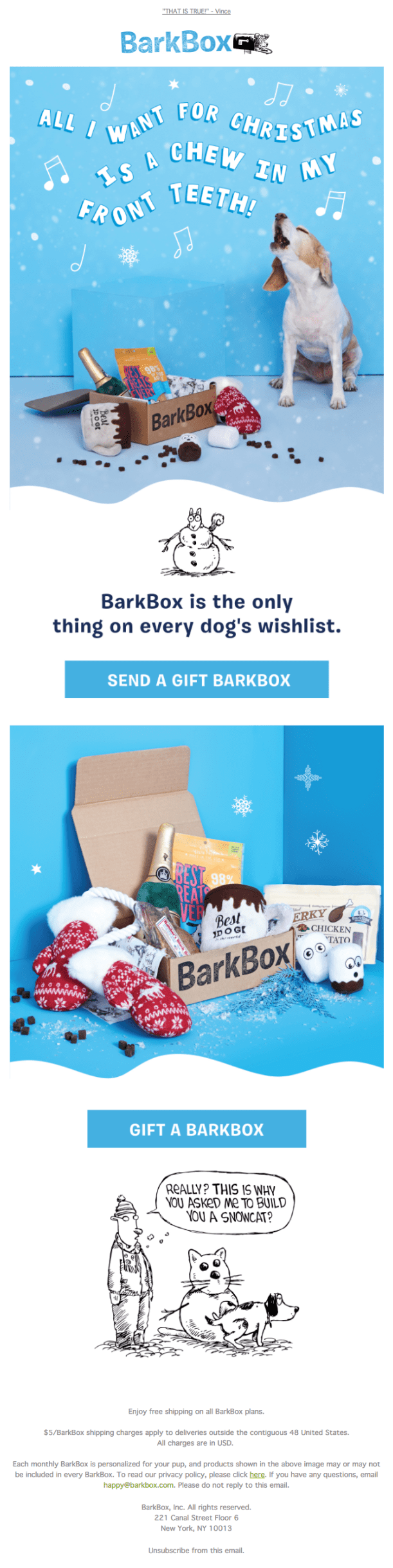 Christmas newsletter by BarkBox that uses festive humor