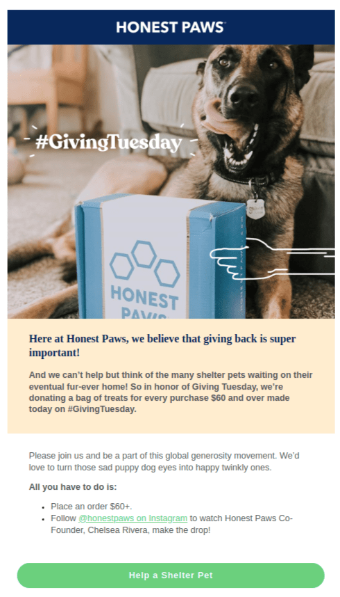 Giving Tuesday email example by company Honest Paws, promoting their product donations